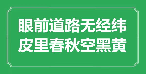 “眼前道路無經(jīng)緯，皮里春秋空黑黃”是什么意思,出處是哪里